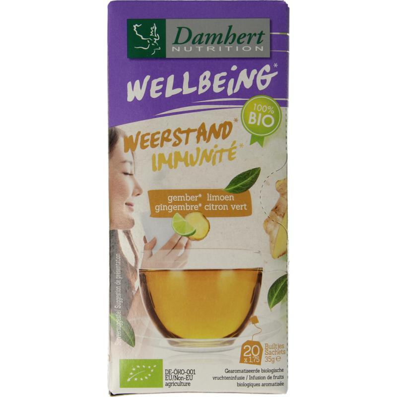 Tea time gember limoenthee