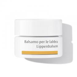 Lipverzorging