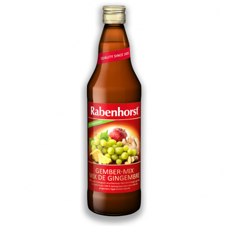 Rabenhorst Gember Mix Sap