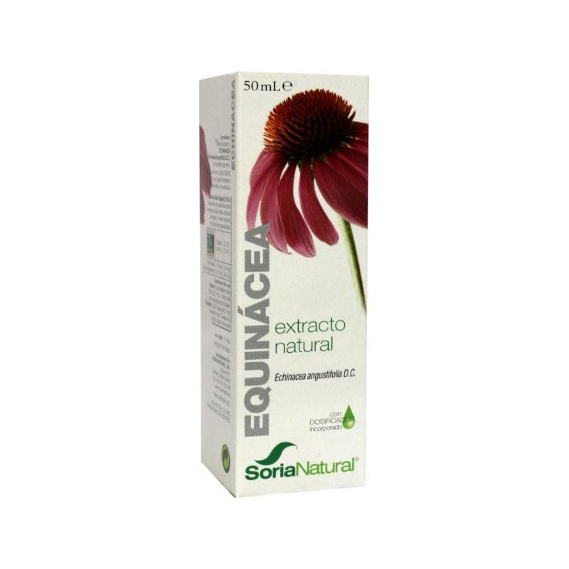 Echinacea angustfolia extract glyc