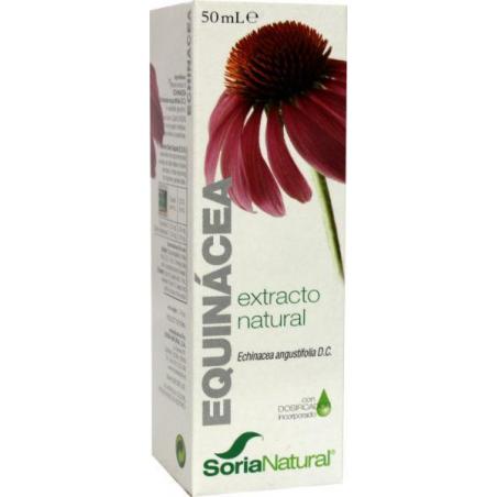 Echinacea angustfolia extract glyc