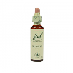 Bach Mustard / herik