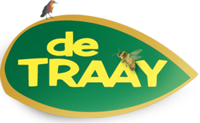 Traay